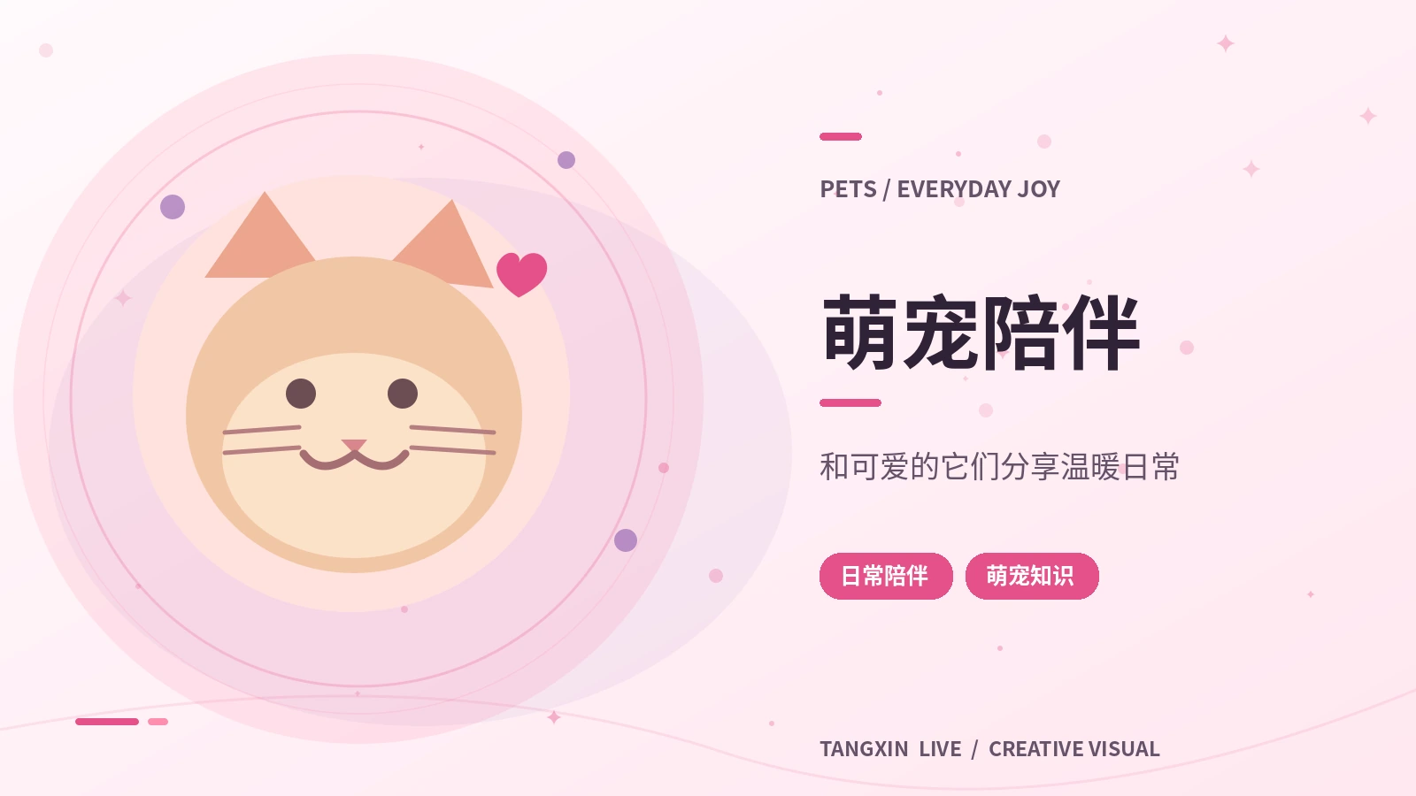 萌宠与手作栏目视觉